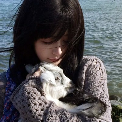 寻芳浪蝶