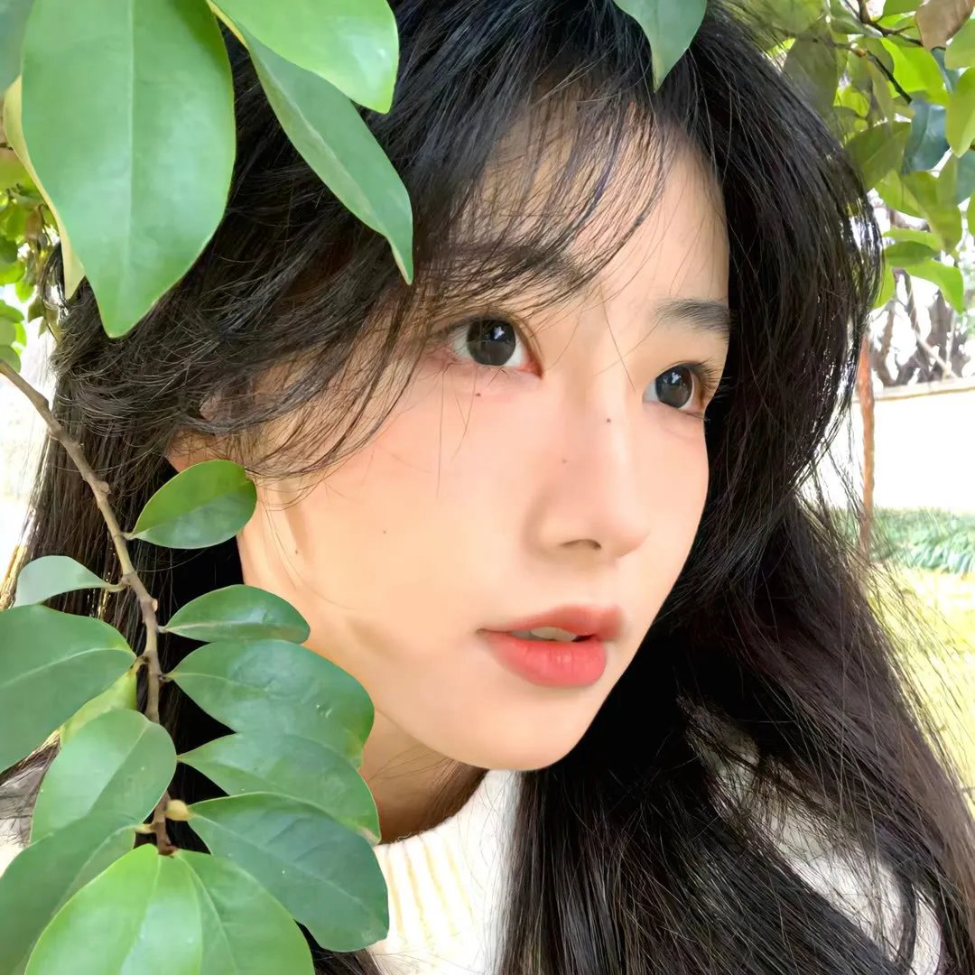 你是我羔羊